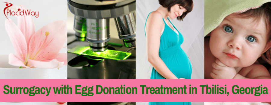Surrogacy with Egg Donation Treatment in Tbilisi, Georgia